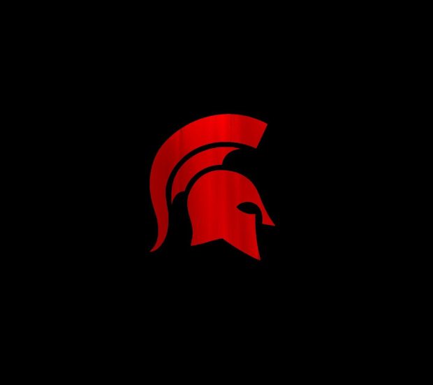 Spartan Wide Screen Wallpaper HD.