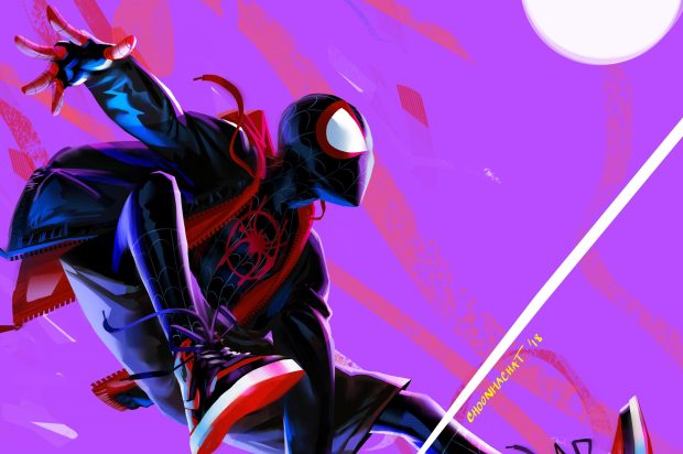 Spider Man Into The Spider Verse Wide Screen Wallpaper.