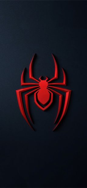 Spider Man Iphone Xr Wallpaper HD.