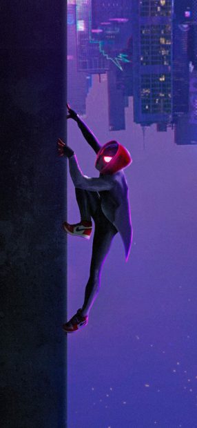 Spider Verse Wide Screen Wallpaper HD.