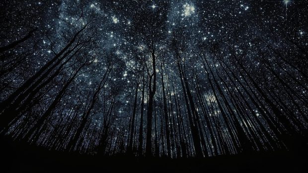 Starry Sky Pictures Free Download.