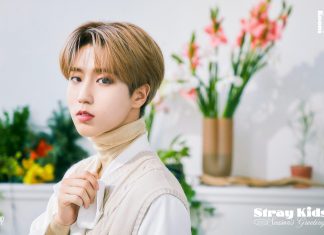 Stray Kids HD Wallpaper Free download.