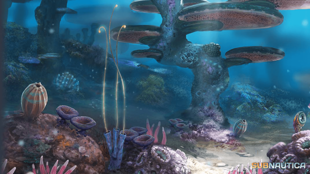 Subnautica Wallpaper HD 1080p.