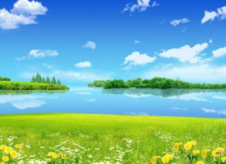 Summer Desktop Wallpaper HD Free download.