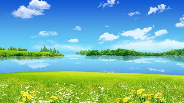 Summer Desktop Wallpaper HD Free download.