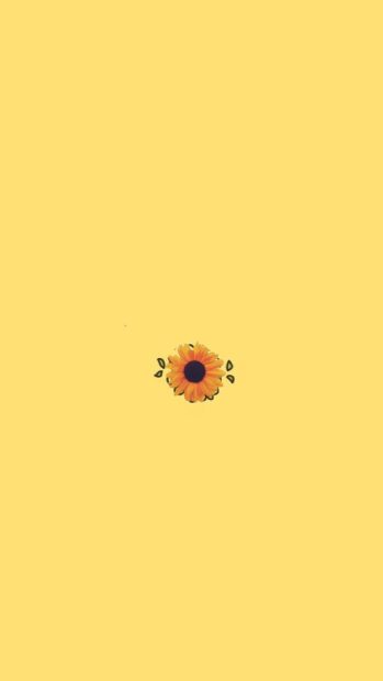 Sunflower Yellow Aesthetic Backgrounds.