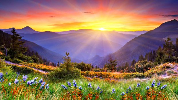 Sunny Mountain Wallpaper HD.