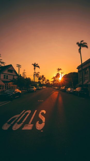 Sunset Aesthetic Pictures Free Download.
