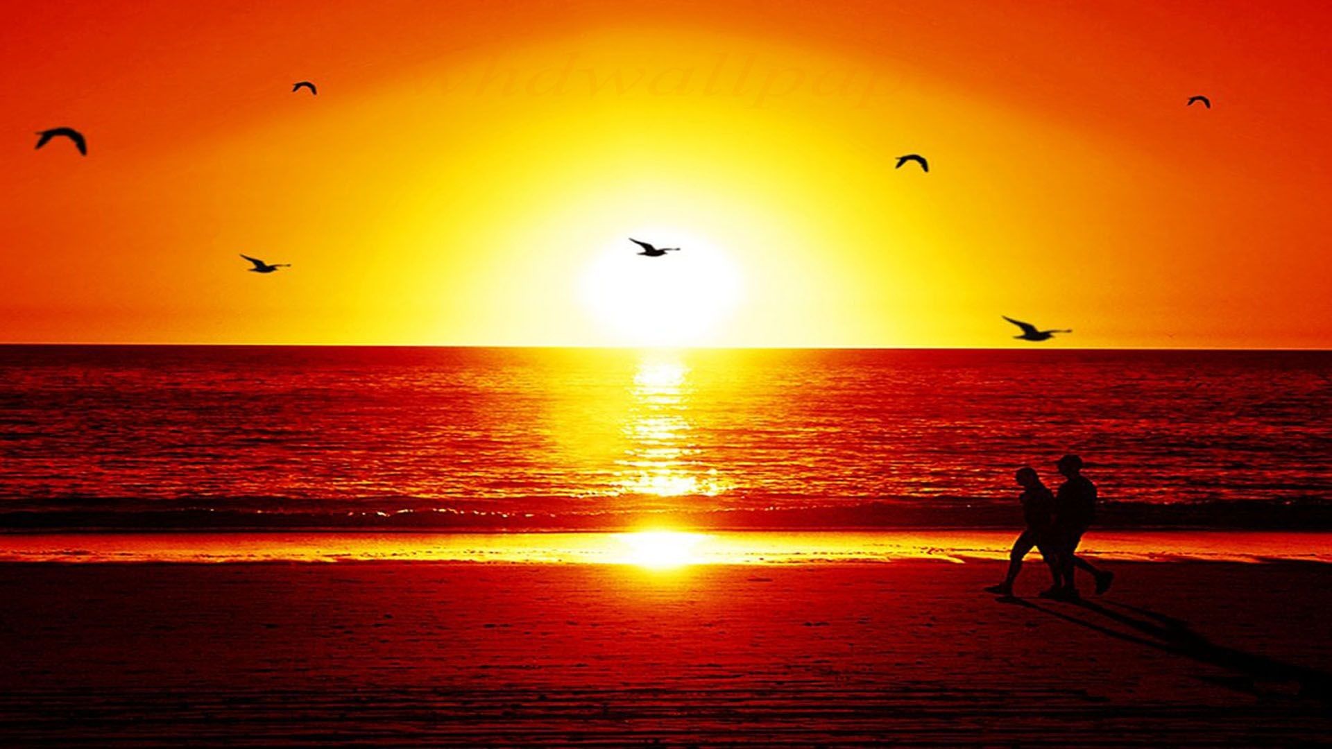 Sunset Wallpapers HD Free download 