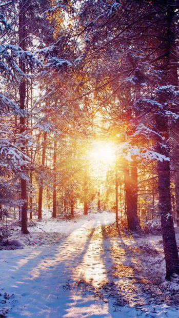 Sunset Winter iPhone Wallpaper HD.
