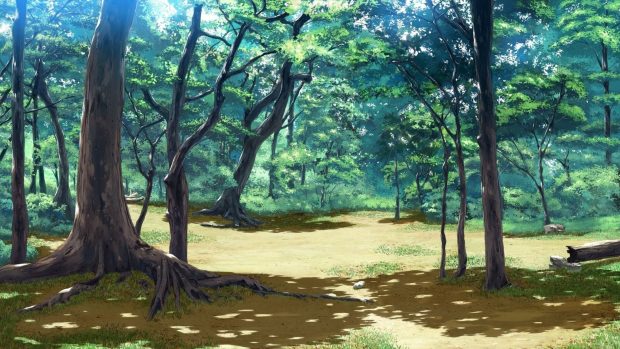 Sunshine Anime Forest Backgrounds HD.