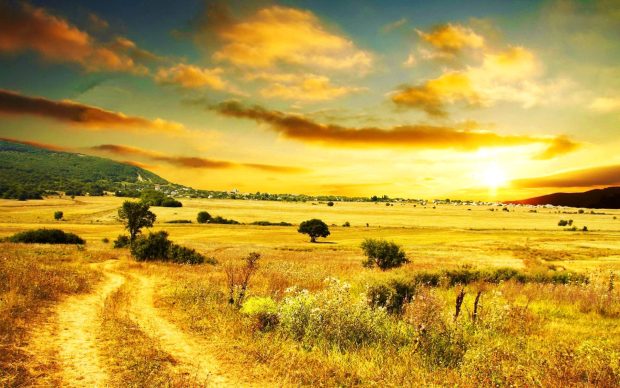 Sunshine Cool Landscape Wallpapers HD.