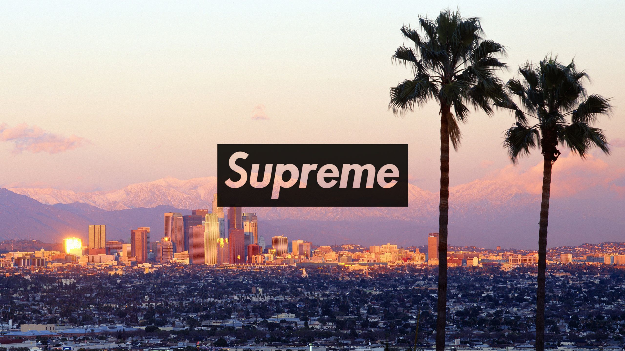 Supreme Wallpaper 4k Pc  Wallpaperforu