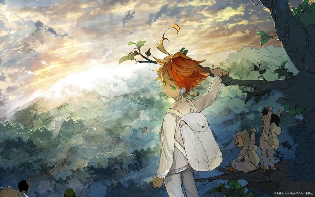 The Promised Neverland HD Wallpaper.