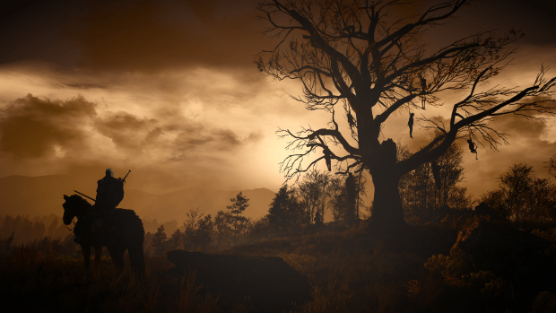 The Witcher Wallpaper High Quality.