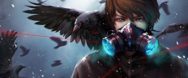 The best Crow Wallpaper HD.