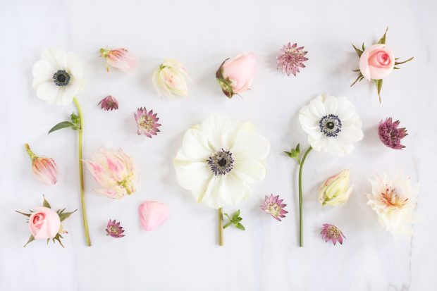 The best Cute Flower Backgrounds.