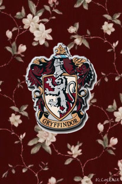 The best Gryffindor Wallpaper HD.