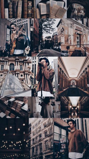 The best Harry Styles Aesthetic Background.