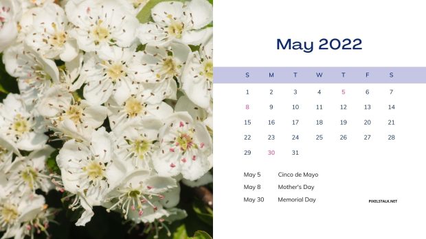 The best May 2022 Calendar Wallpaper HD.