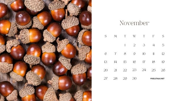 The best November 2022 Calendar Background.