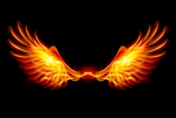 The best Phoenix Wallpaper HD.