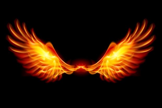 The best Phoenix Wallpaper HD.