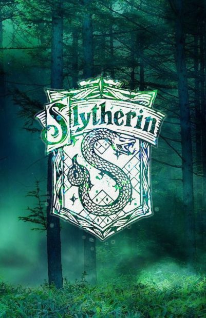 The best Slytherin Aesthetic Wallpaper HD.