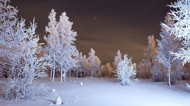 The best Winter Forest 4K Background.