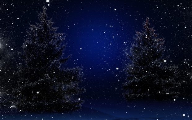 The best Winter Night Background.