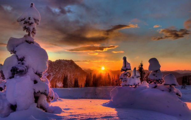 The best Winter Sunset Background.
