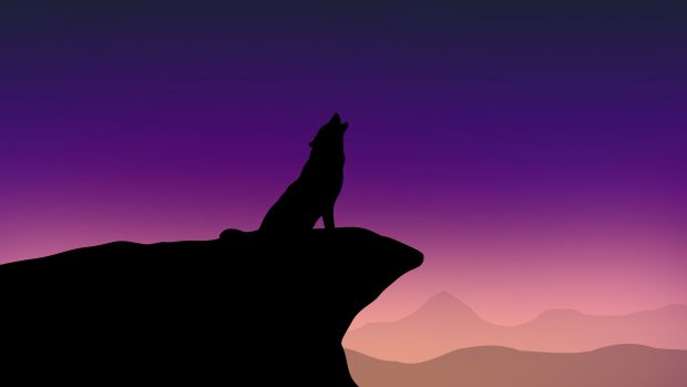 The best Wolf 4K Background.
