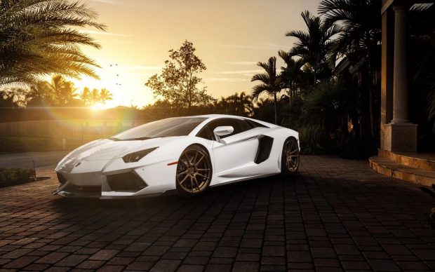 The latest Cool Lamborghini Background.