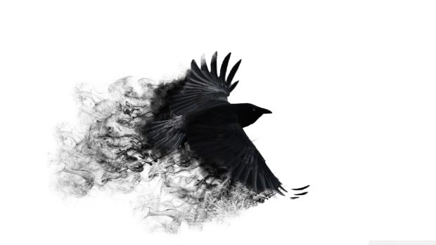 The latest Crow Background.