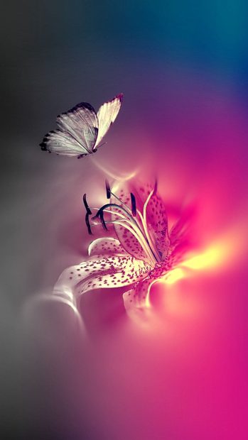 The latest Pink Butterfly Background.