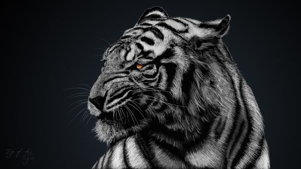 Tiger HD Wallpaper Free download.