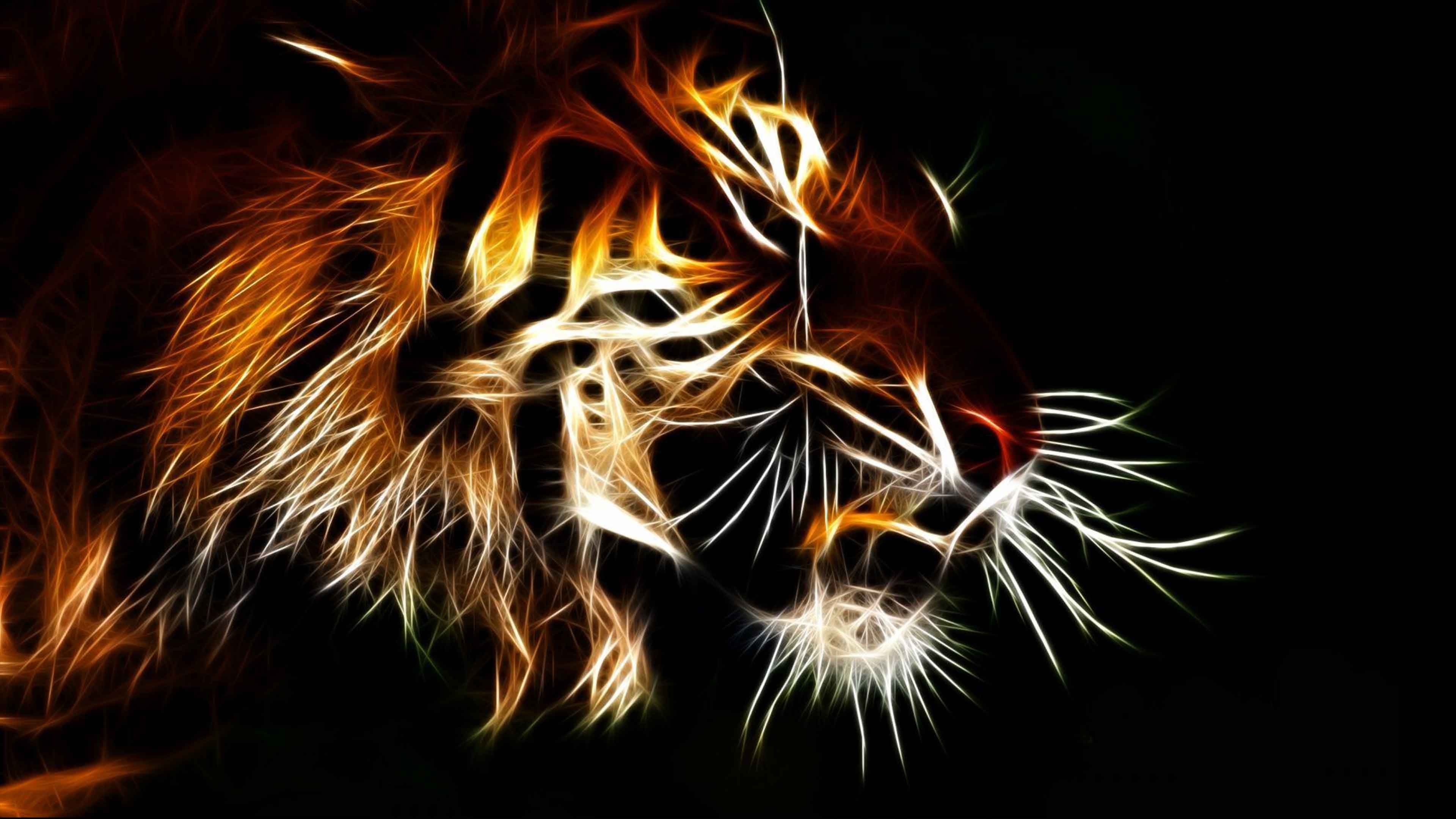 Cool Tiger Backgrounds 63 pictures