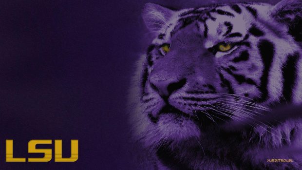 Tigers LSU Wallpaper HD.