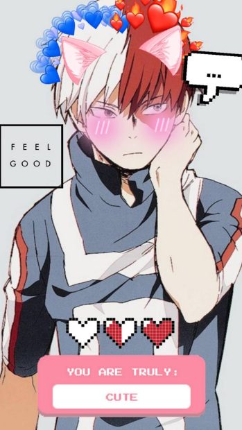 Todoroki Aesthetic.