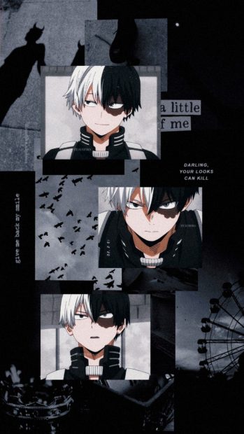 Todoroki Aesthetic Image.