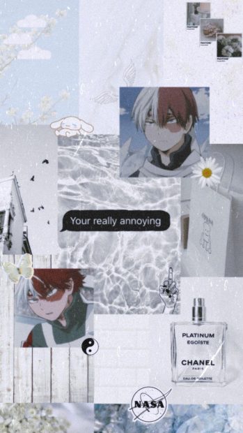 Todoroki Aesthetic Wallpaper.