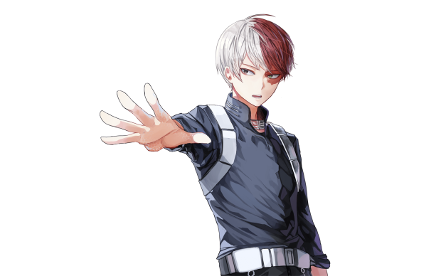 Todoroki Wide Screen Wallpaper HD.