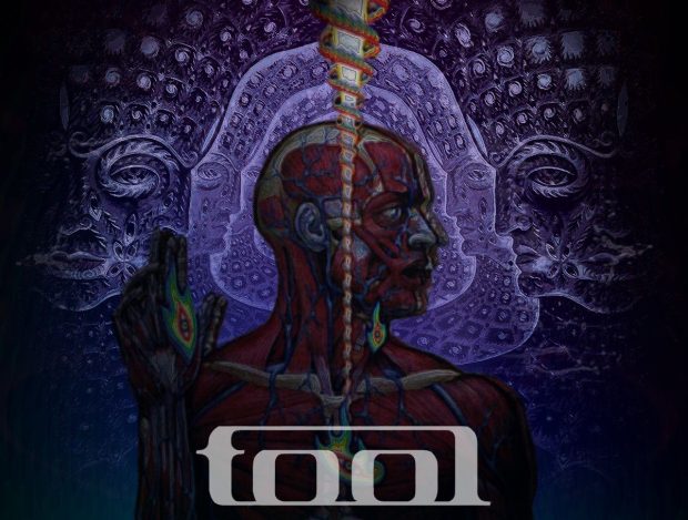 Tool Wide Screen Wallpaper.