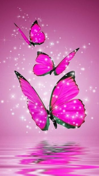 Top Free Pink Butterfly Wallpaper HD.