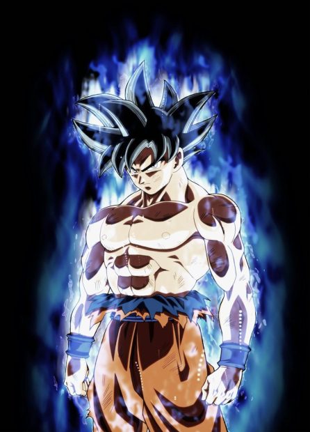 Ultra Instinct Goku Wallpaper HD.