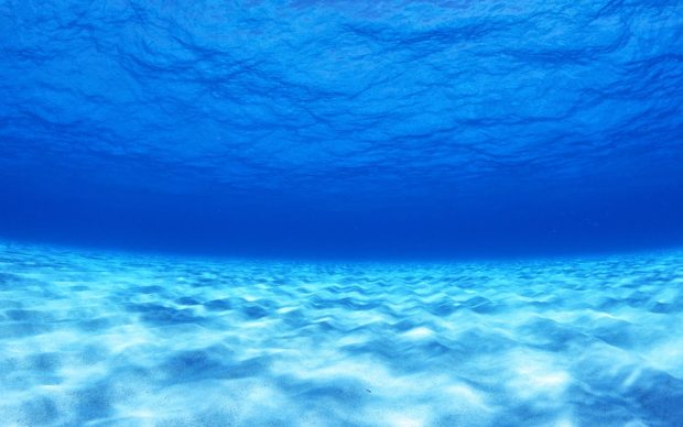 Underwater HD Wallpaper.
