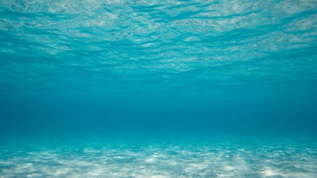 Underwater Wide Screen Wallpaper HD.