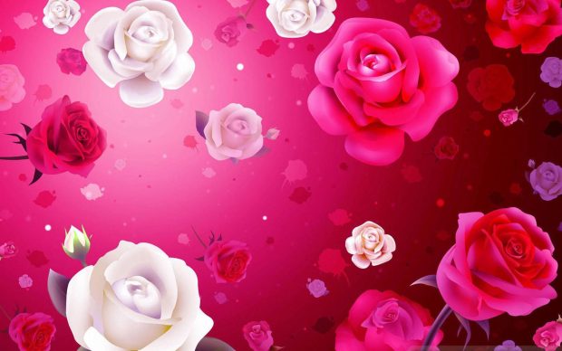 Valentine day wallpaper 1080p red and pink rose.