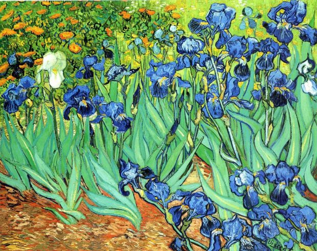 Van Gogh Wide Screen Wallpaper.