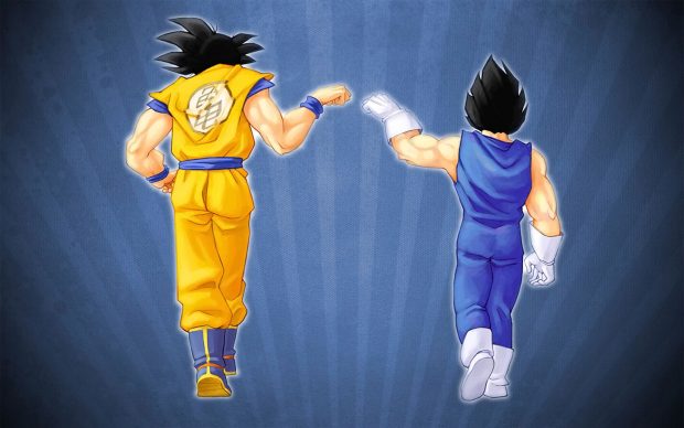 Vegeta And Goku Wallpaper HD.